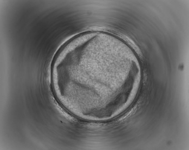 X0000097661036200803211915