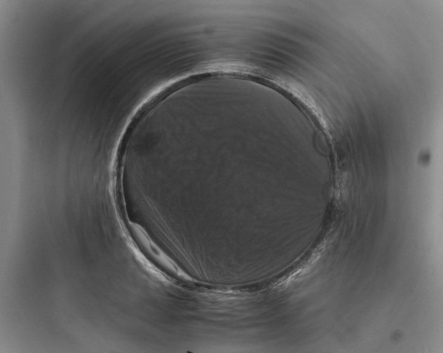 X0000097661037200803211915