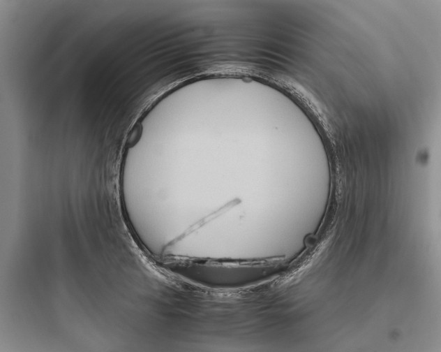 X0000097661041200803211915