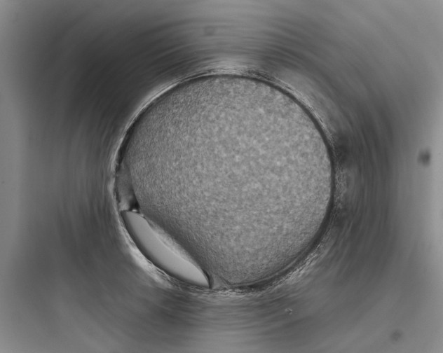 X0000097661042200803211915