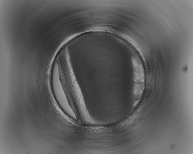 X0000097661045200803211915