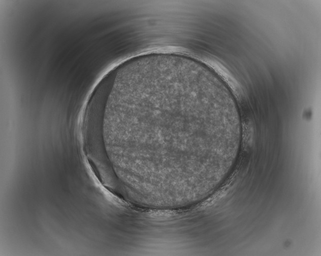 X0000097661046200803211915