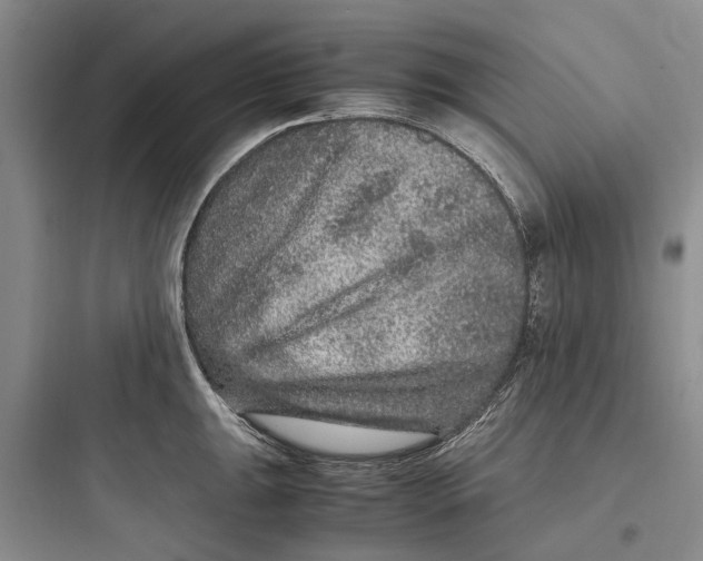 X0000097661047200803211915