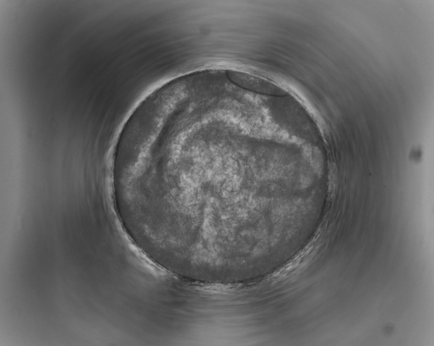 X0000097661048200803211915