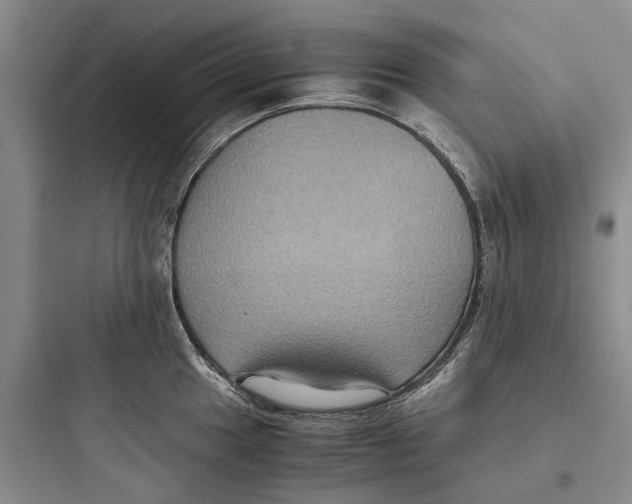 X0000097661049200803211915