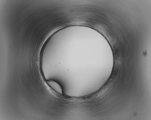 X0000097661050200803211915