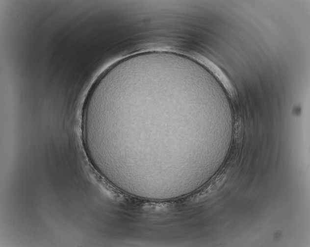 X0000097661051200803211915