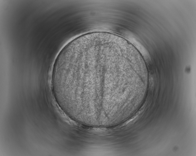 X0000097661052200803211915