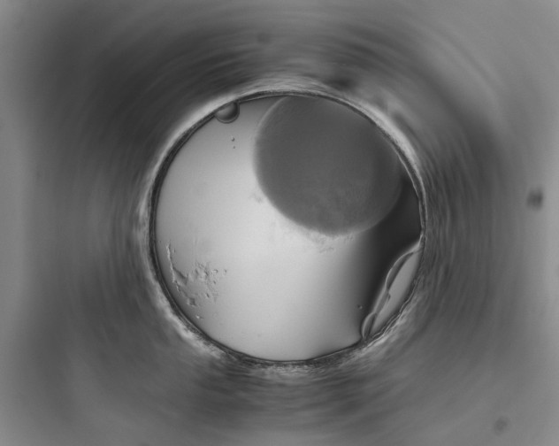 X0000097661053200803211915