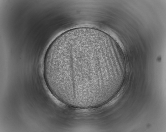 X0000097661054200803211915