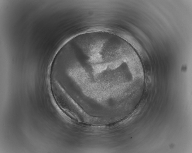 X0000097661055200803211915