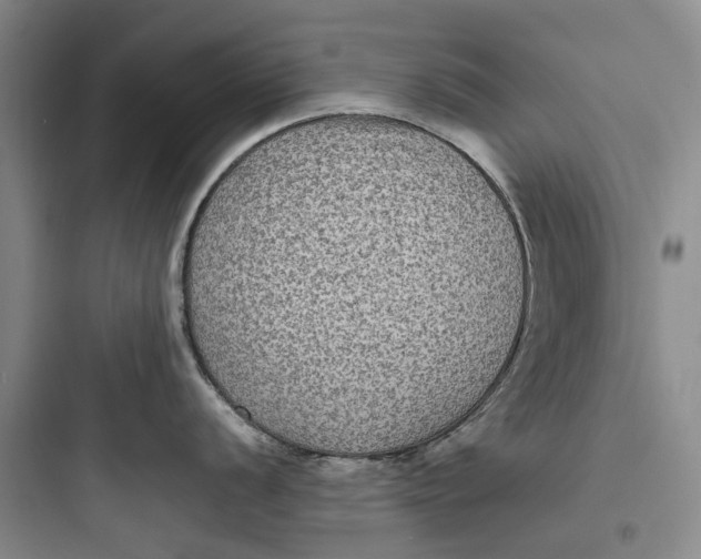 X0000097661056200803211915