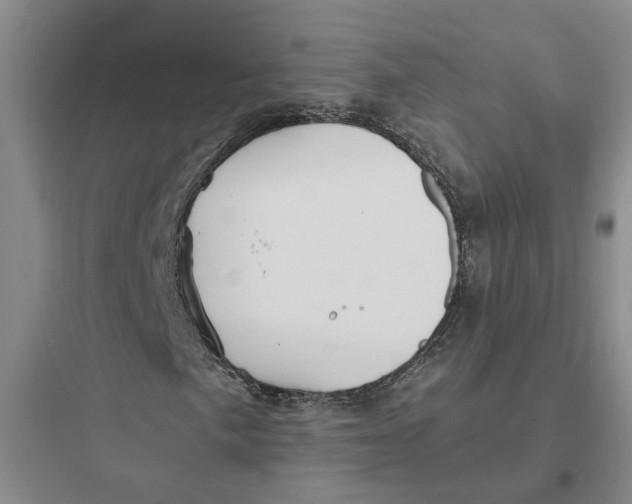 X0000097661057200803211914