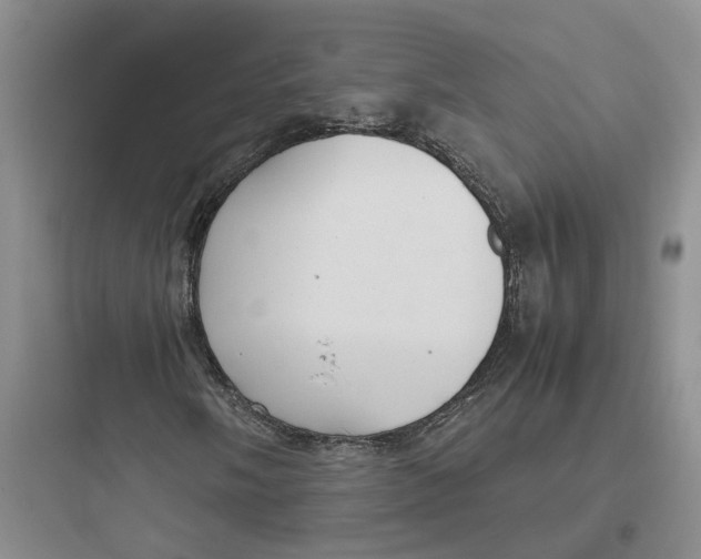 X0000097661058200803211914