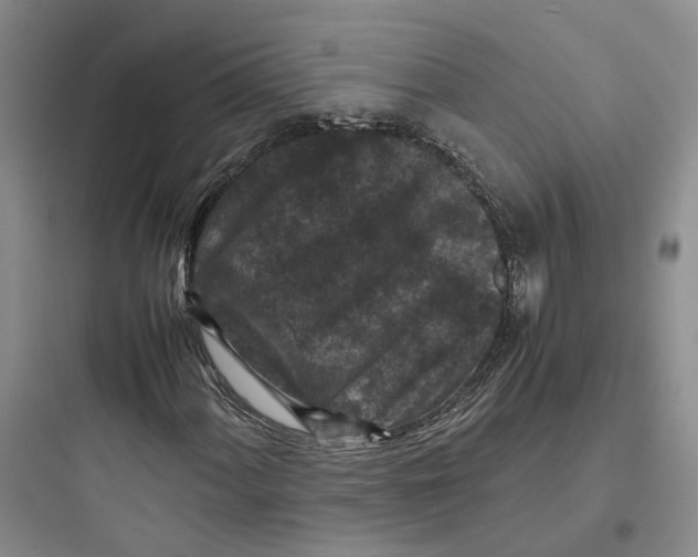 X0000097661060200803211914