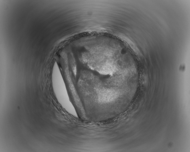 X0000097661063200803211914