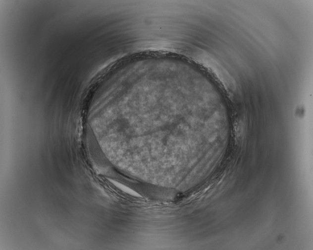 X0000097661064200803211914