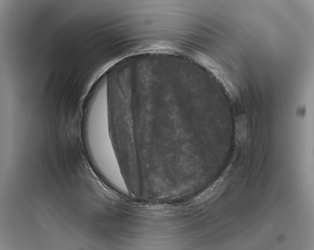 X0000097661066200803211914