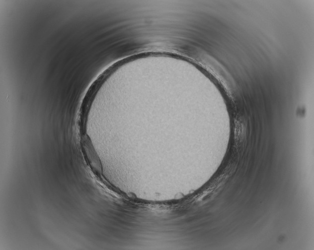 X0000097661068200803211914