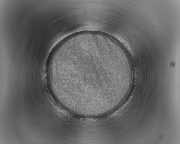 X0000097661070200803211914