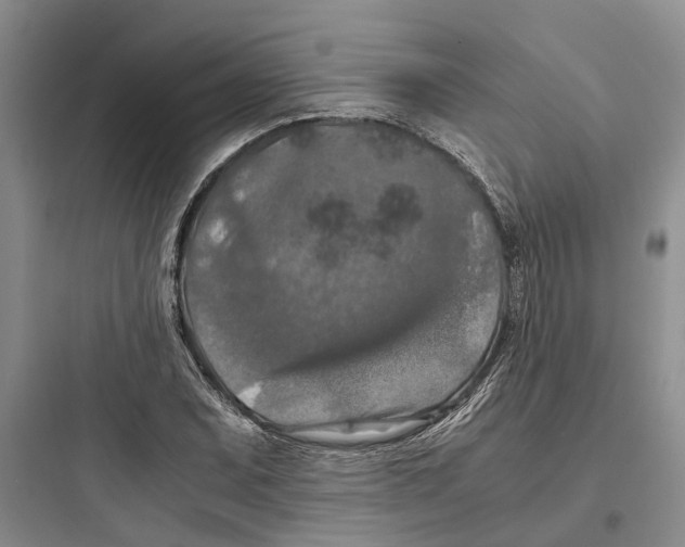 X0000097661071200803211914