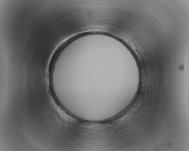 X0000097661072200803211914