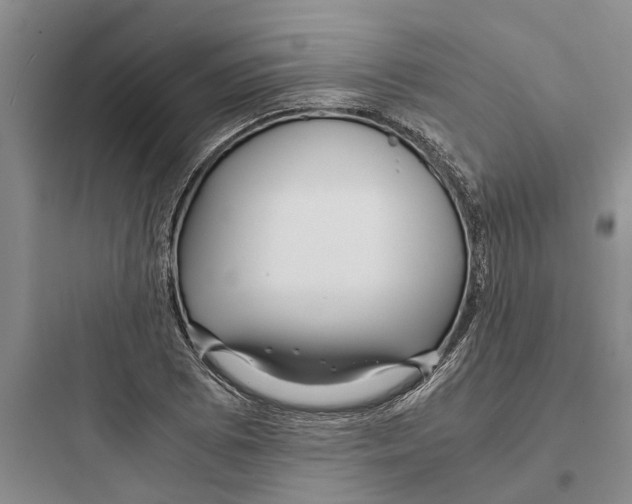 X0000097661073200803211914