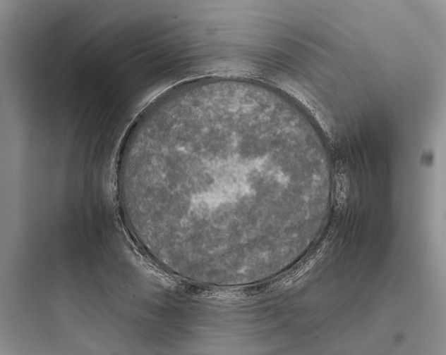 X0000097661074200803211914