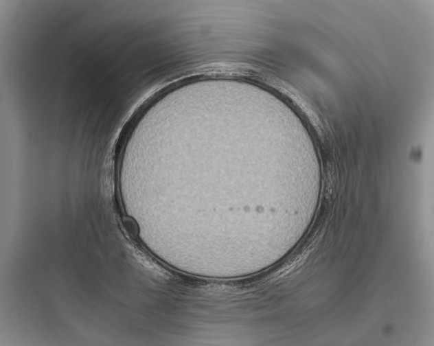 X0000097661075200803211914