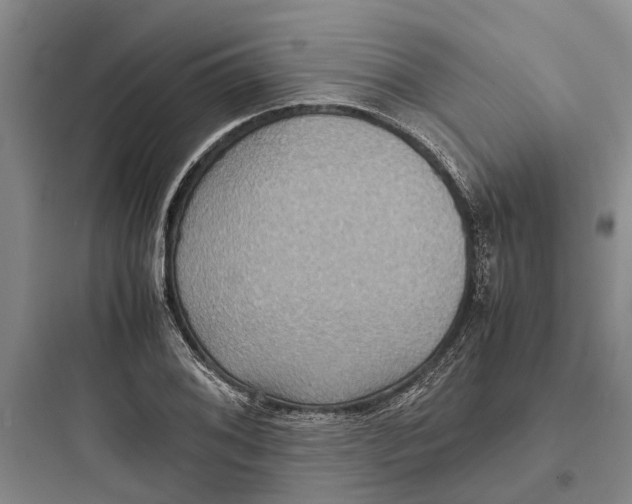 X0000097661076200803211914