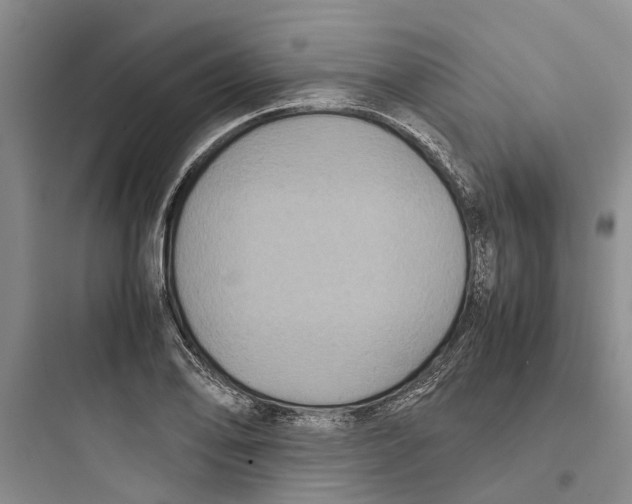 X0000097661078200803211914