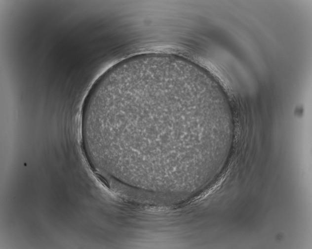 X0000097661079200803211914