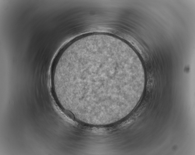 X0000097661080200803211914