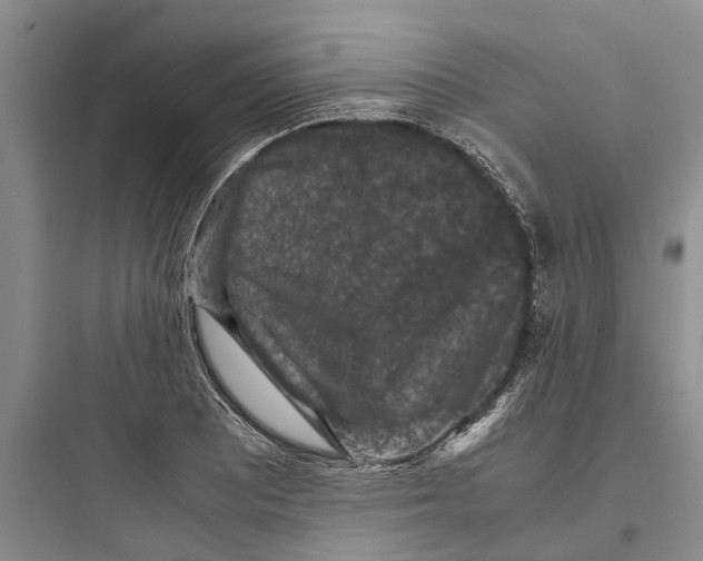 X0000097661081200803211914