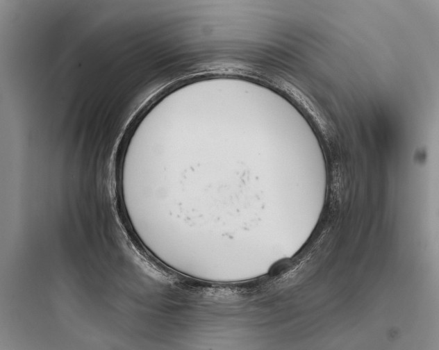X0000097661082200803211914