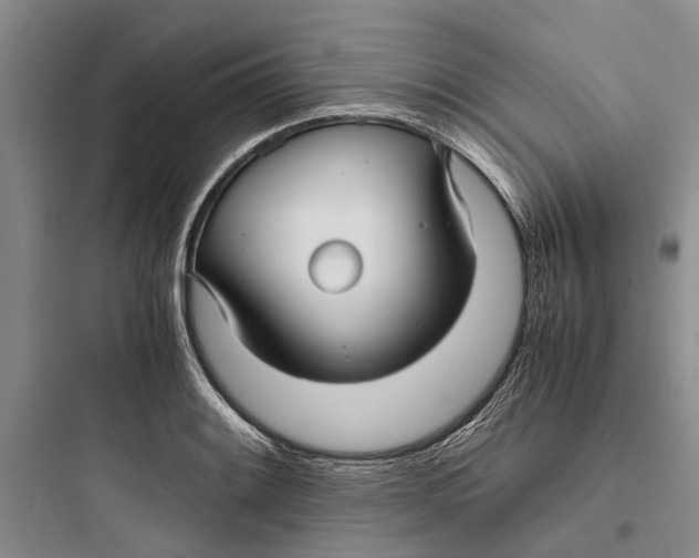 X0000097661084200803211914