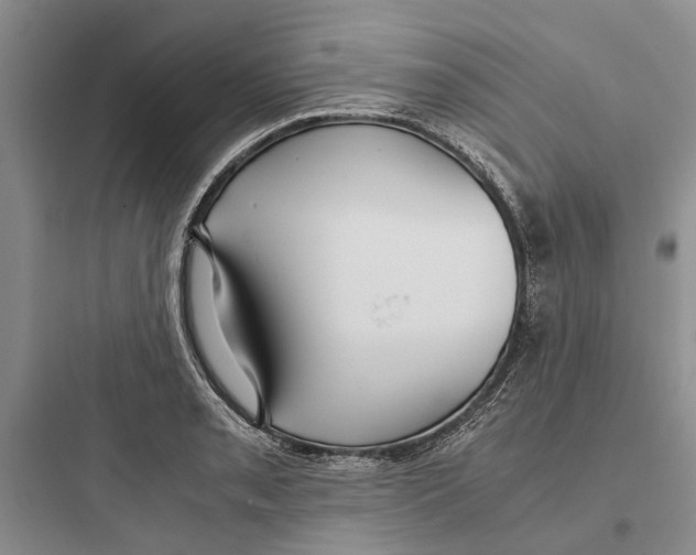 X0000097661085200803211914