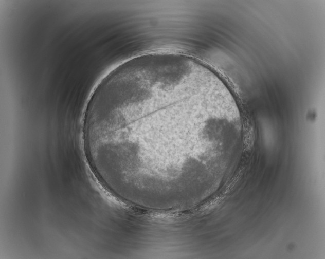 X0000097661086200803211914