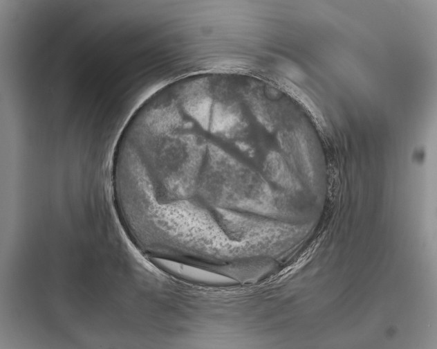 X0000097661087200803211914