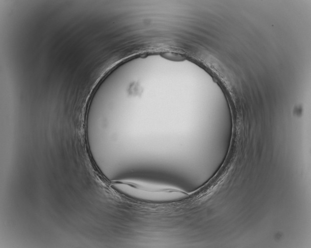 X0000097661089200803211914