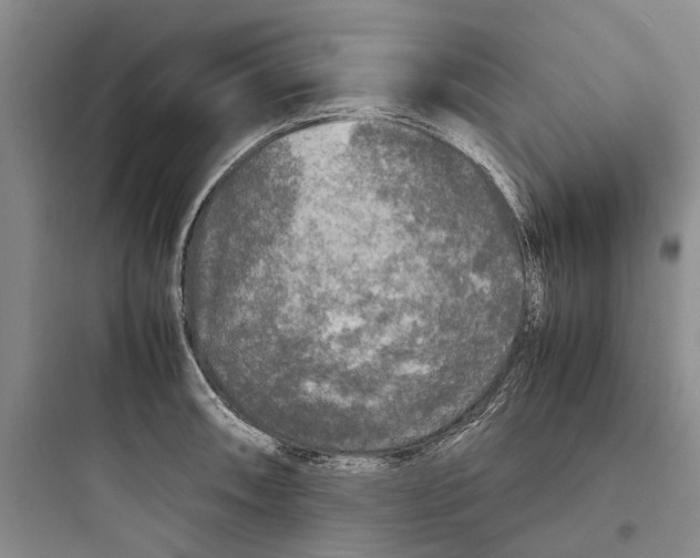 X0000097661090200803211914