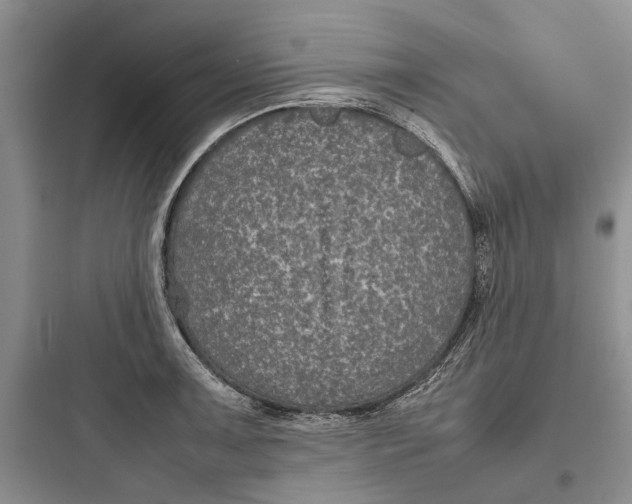 X0000097661091200803211914