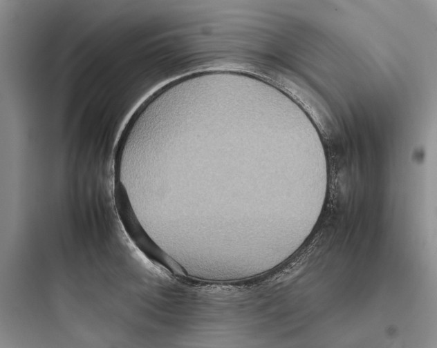 X0000097661092200803211914