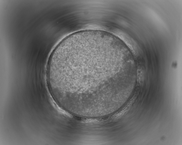 X0000097661094200803211914