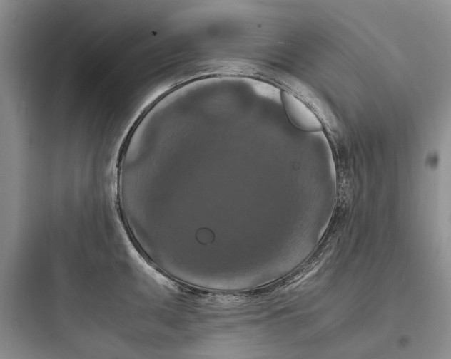 X0000097661095200803211914