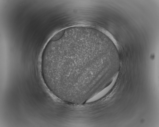 X0000097661099200803211914