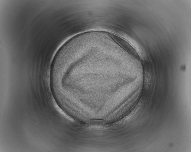 X0000097661100200803211914