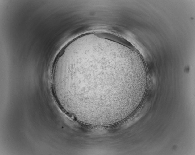 X0000097661101200803211914