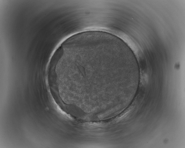 X0000097661102200803211914