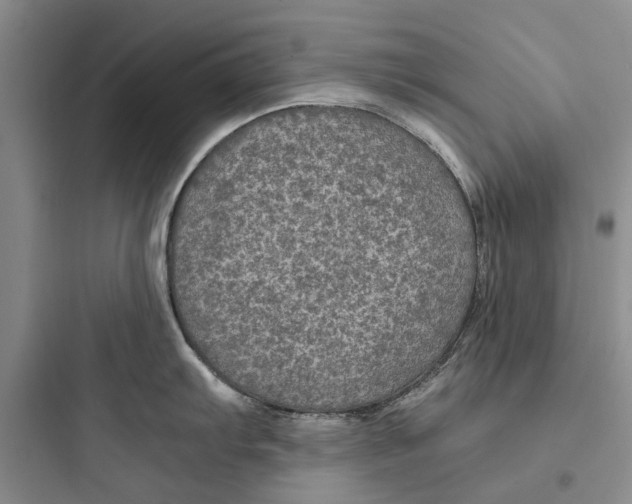 X0000097661103200803211914
